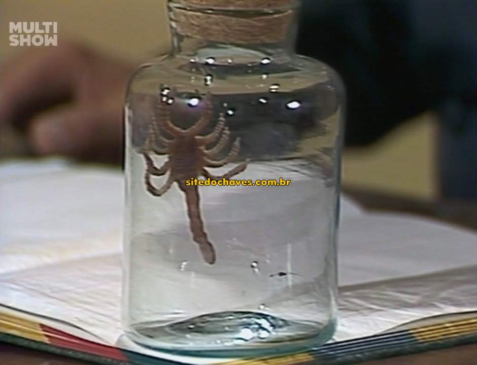 Escorpião entro do vidro na escolinha do professor Girafales no episódio do escorpião
